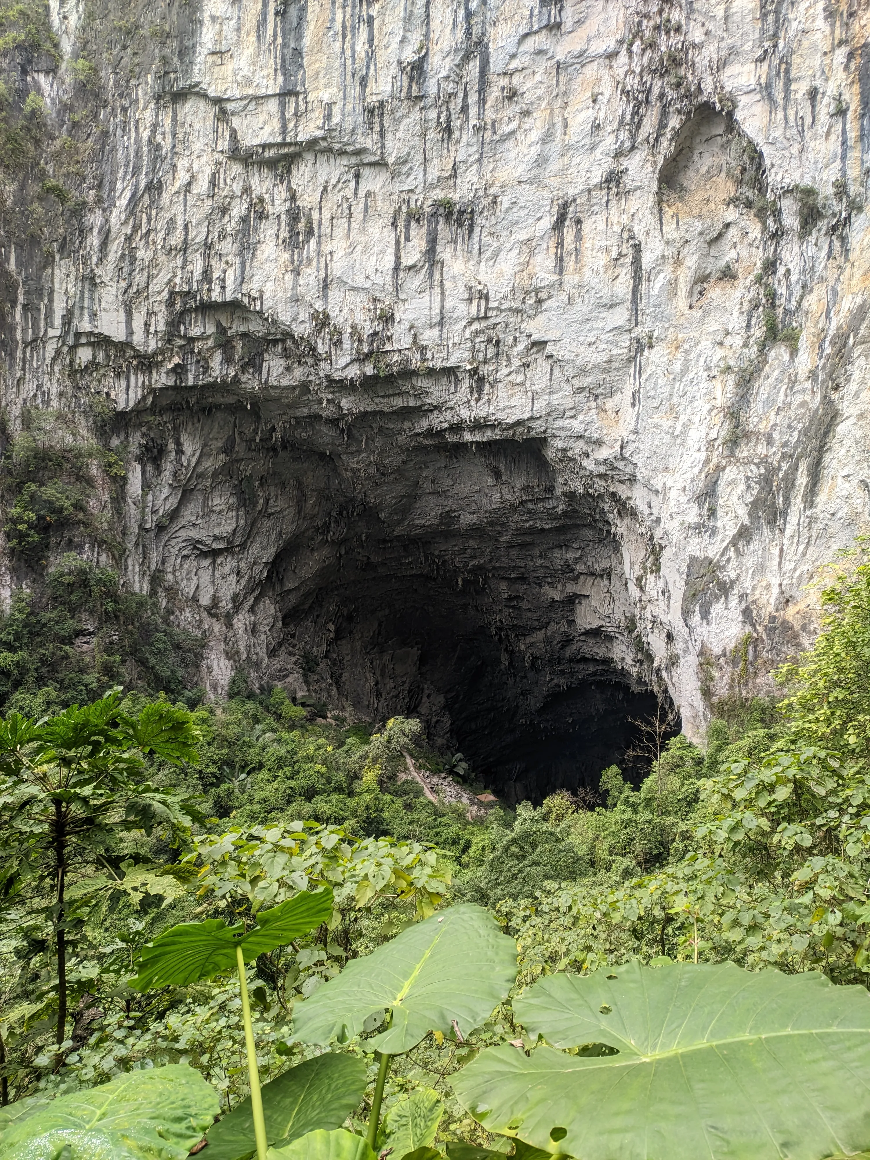广西凌云浩坤湖芭蕉洞